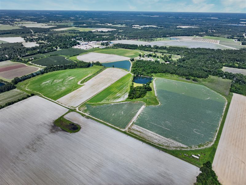 Ellenton Irrigated Farm : Ellenton : Colquitt County : Georgia