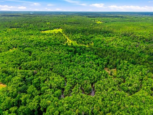 Whitewater Ridge : Rupert : Taylor County : Georgia