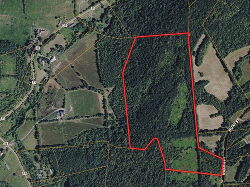 Picturesque 50 Acre Country Retreat : Seward : Schoharie County : New York