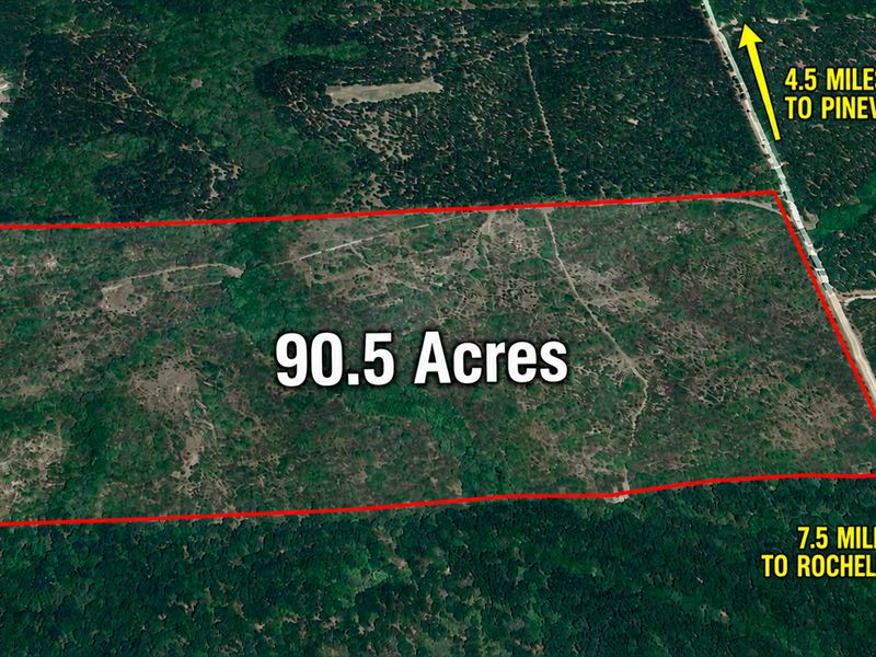 90.5 Acres-Hunting & Recreational : Rochelle : Wilcox County : Georgia