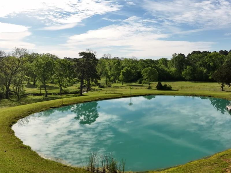Spring Branch 19 : Montgomery : Montgomery County : Texas