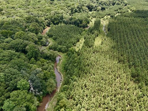 East Fork Ranch & Timber : Clopton : Henry County : Alabama