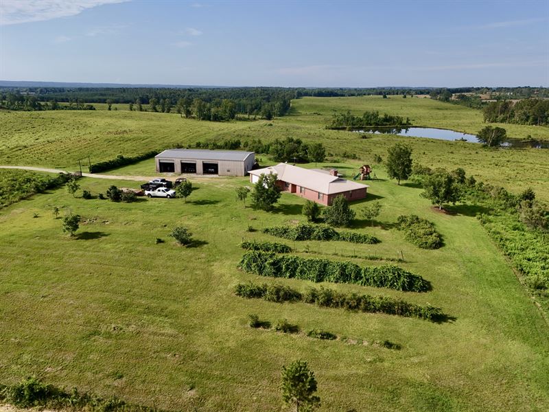 10 Shy Homestead : Clopton : Henry County : Alabama
