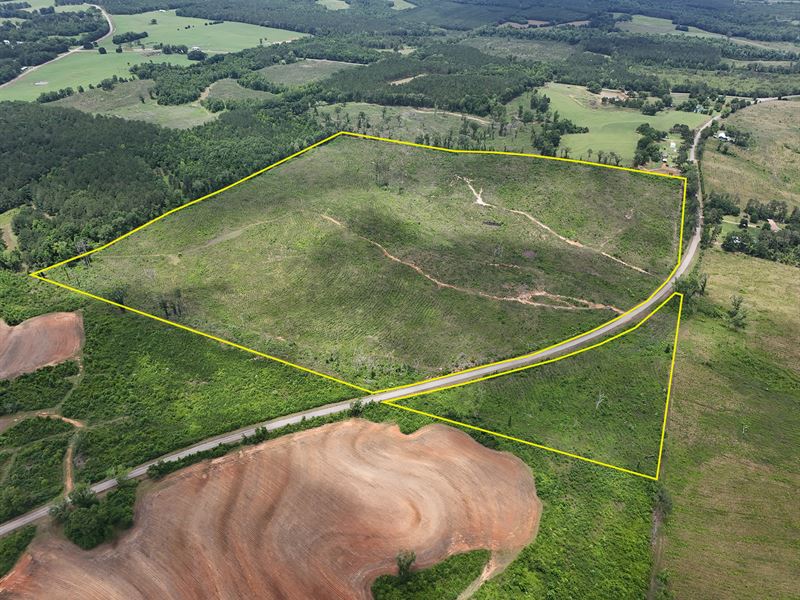 The Turner Tract : Clopton : Henry County : Alabama