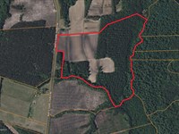 Farmland & Timber with Hunting, NC : Aurora : Beaufort County : North Carolina