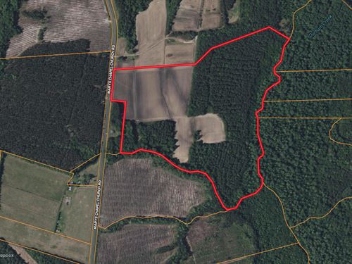 Farmland & Timber with Hunting, NC : Aurora : Beaufort County : North Carolina