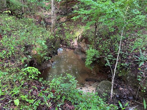 56.42 Acres Po Biddy Road Tract : Thomaston : Upson County : Georgia