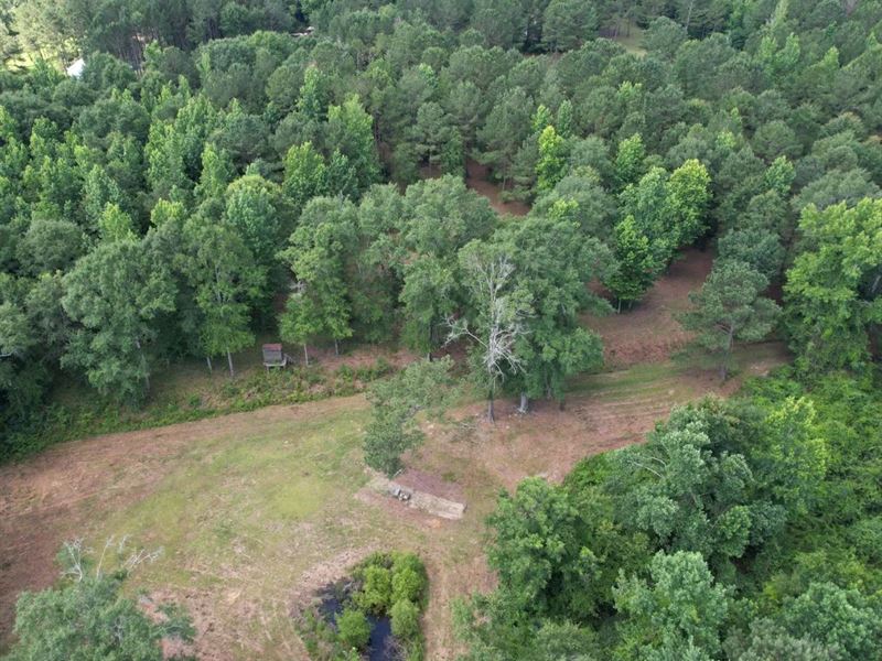 47 Acres in Covington County in Tay : Taylorsville : Covington County : Mississippi