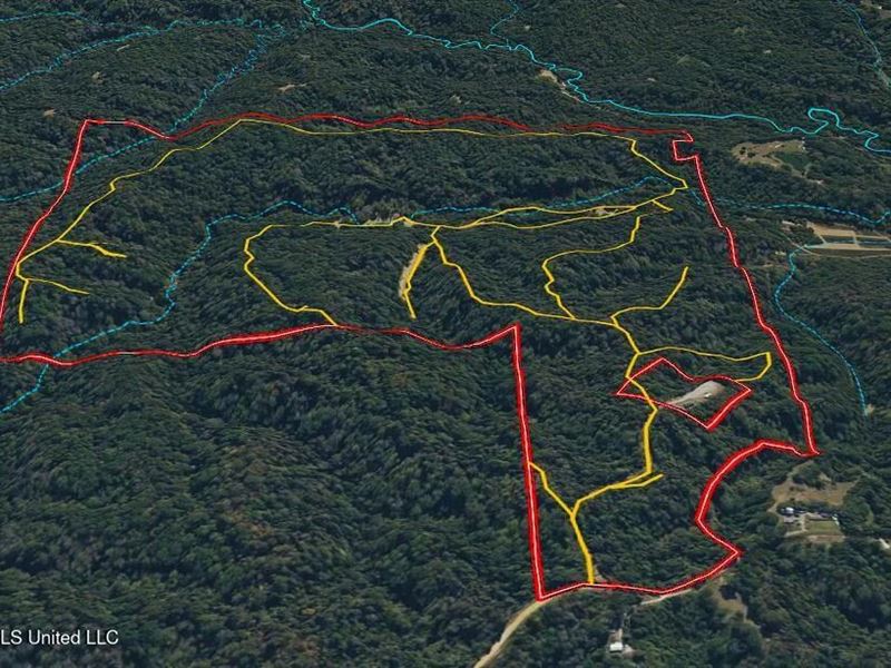 Property From 1181 Gowall Road, KW : Vicksburg : Warren County : Mississippi