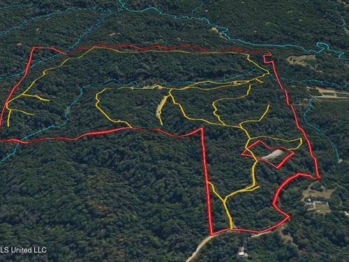 Property From 1181 Gowall Road, KW : Vicksburg : Warren County : Mississippi