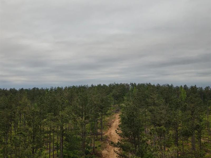 108.6 Acres in Grenada County in Go : Gore Springs : Grenada County : Mississippi