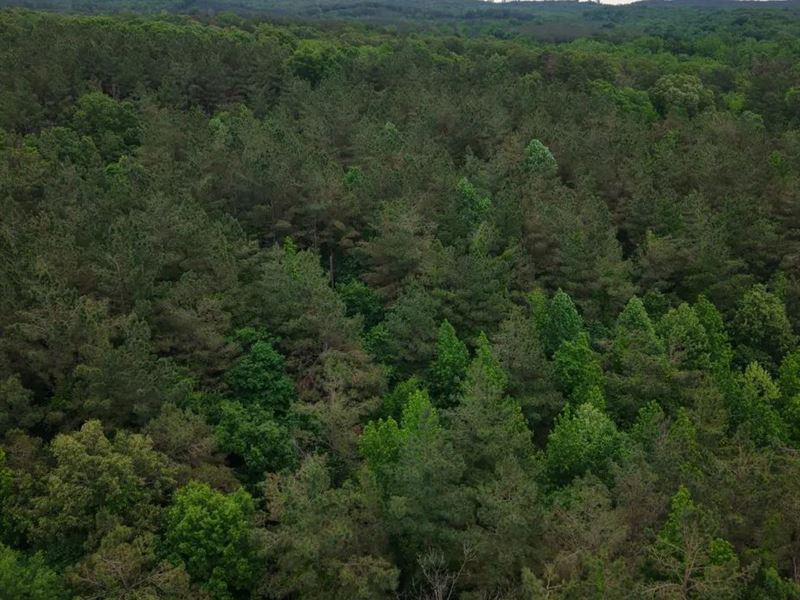 48.7 Acres in Grenada County in Gre : Grenada : Grenada County : Mississippi