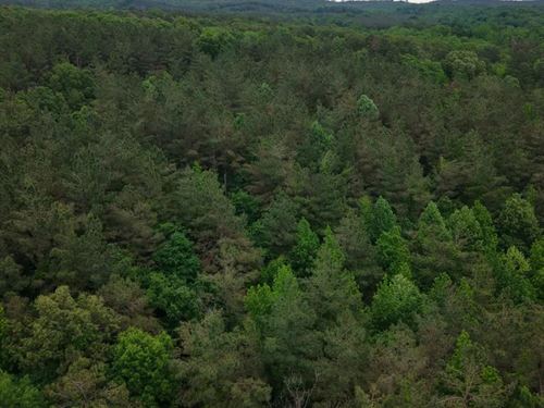 48.7 Acres in Grenada County in Gre : Grenada : Mississippi