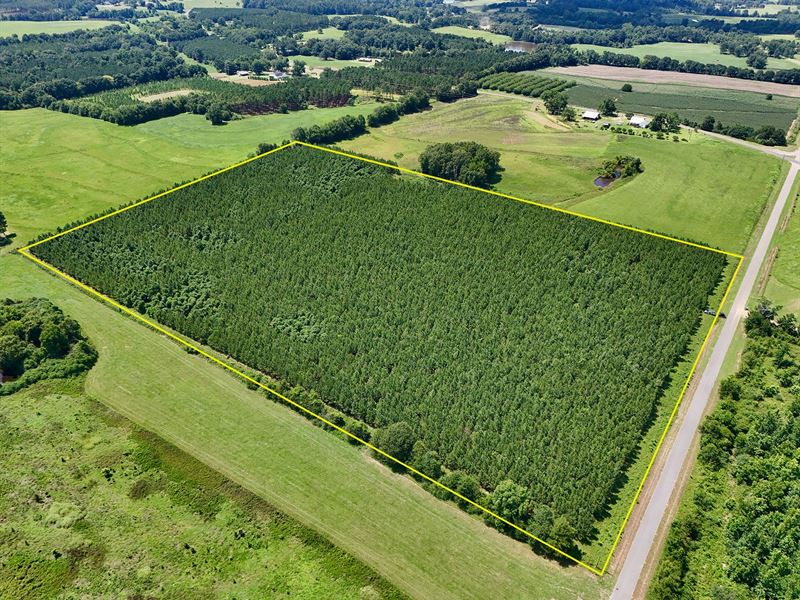 Edgefield Homesite : Clayton : Barbour County : Alabama