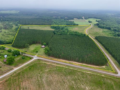 Searcy Branch Timber and Rec : Clopton : Henry County : Alabama