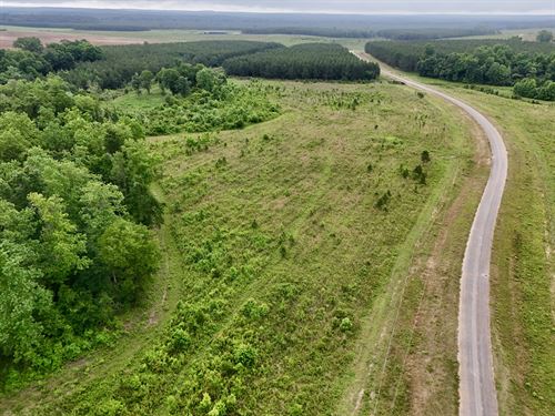 Beaver Creek Tract : Clopton : Henry County : Alabama