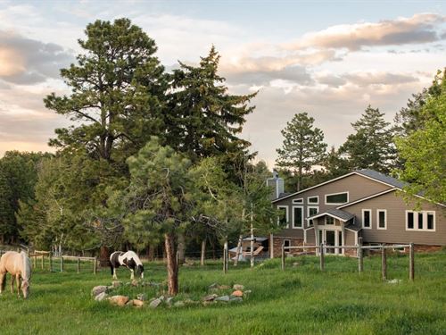 Bear Mountain Ranch : Evergreen : Jefferson County : Colorado