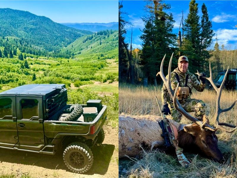 Chromo Mountain Elk, Land Cattle : Chama : Rio Arriba County : New Mexico